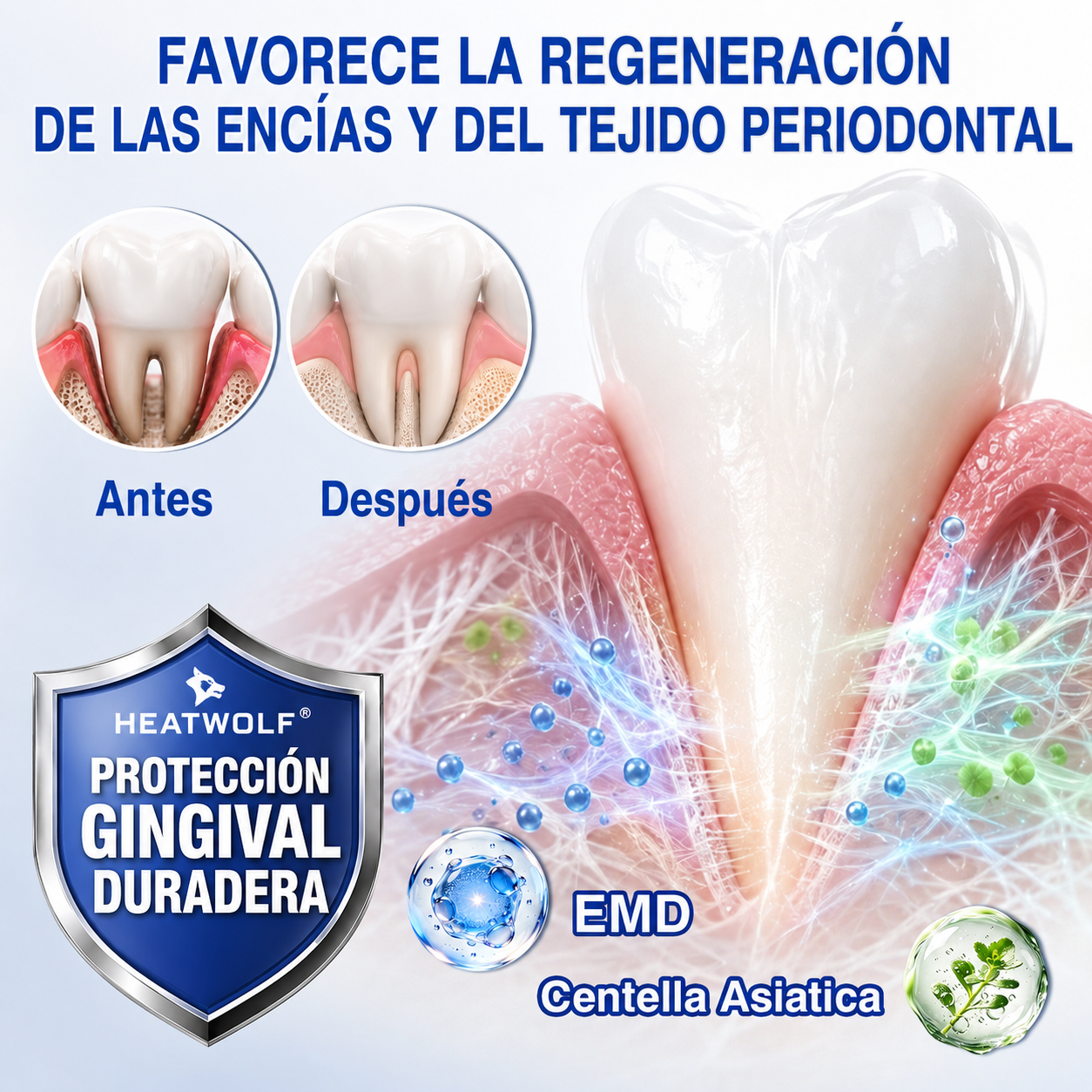 🇲🇽🍄🦷1️⃣ HEATWOLF® GumRevive Gel Reparador Periodontal