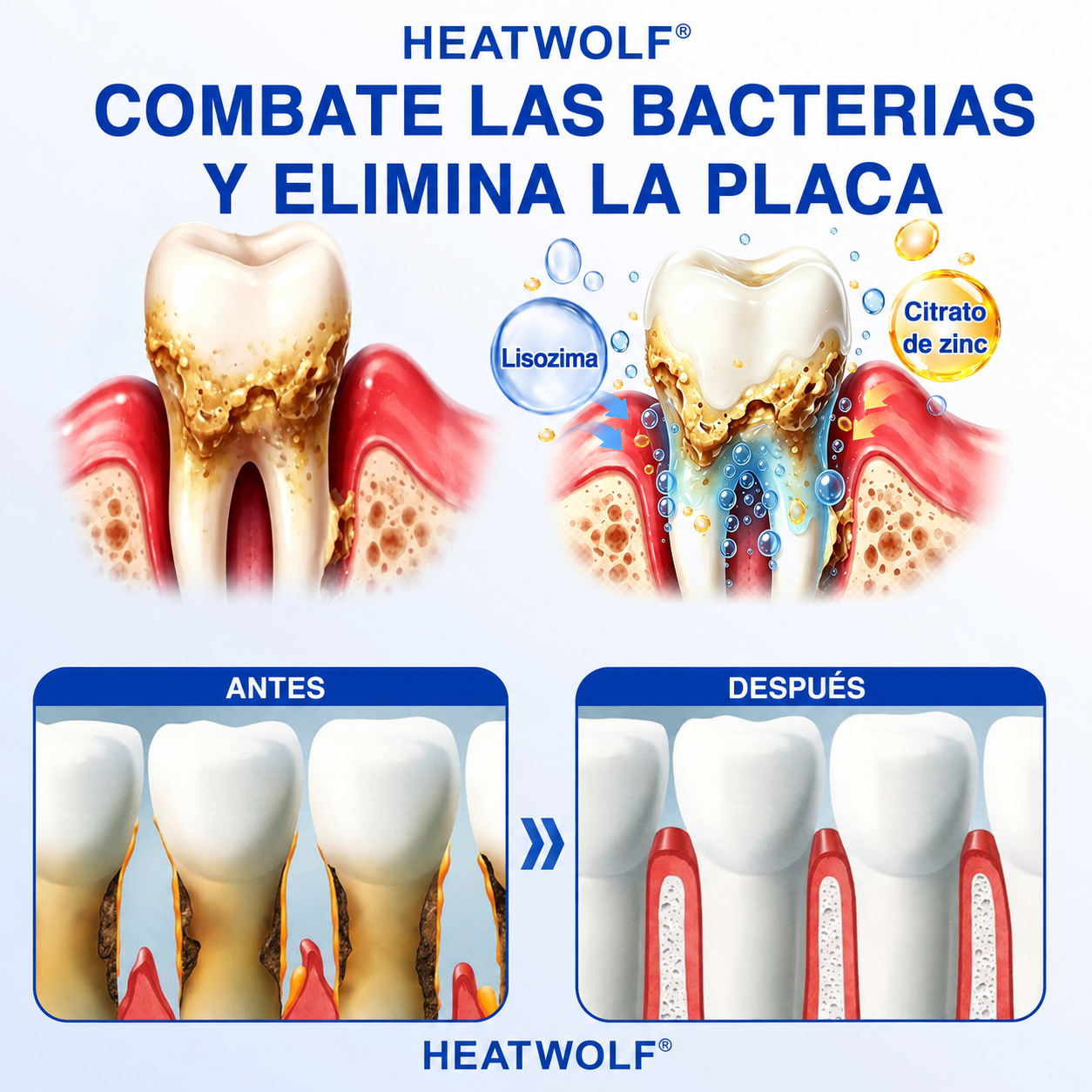 🇲🇽🍄🦷1️⃣ HEATWOLF® GumRevive Gel Reparador Periodontal
